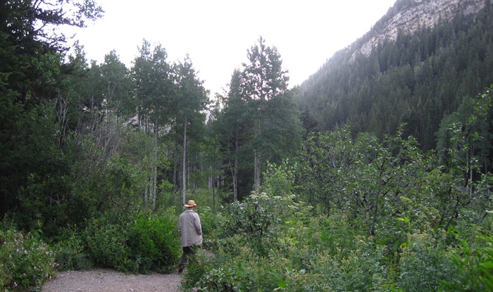 Taylor hiking through the woods