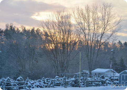 winter scene (1 of 1)-41 winter scene (1 of 1)-41