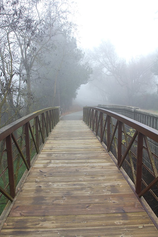 [111220_fog_footbridge%255B4%255D.jpg]