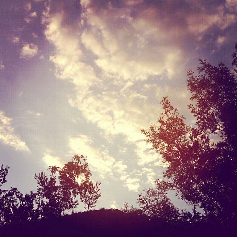 [IMG_20120418_215503%255B3%255D.jpg]
