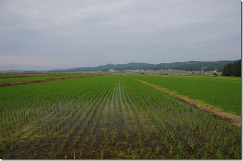IMGP3159 IMGP3159