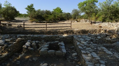 Pedesa Remains