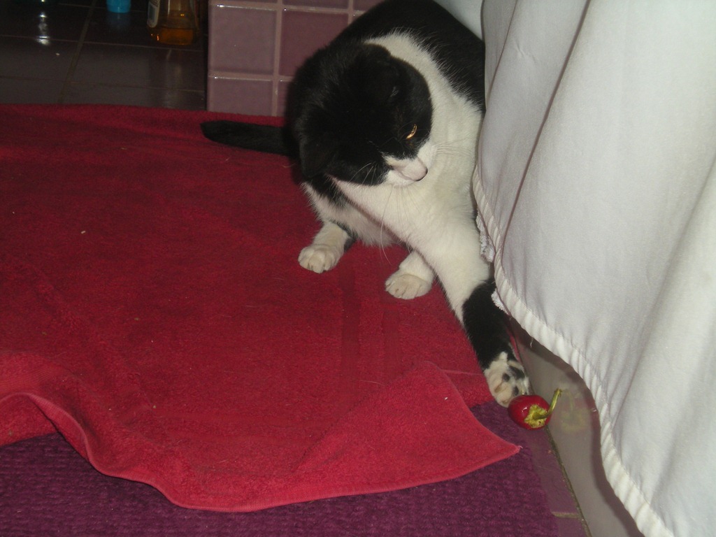 [DSCN97853.jpg]