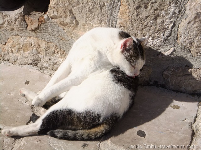 [dubrovnik0137.jpg]