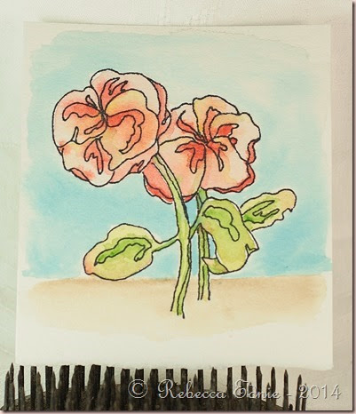poppy watercolour