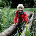 Bevers_Splinter_2011_017.jpg