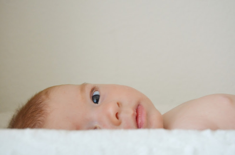 HPP_4151 HPP_4151