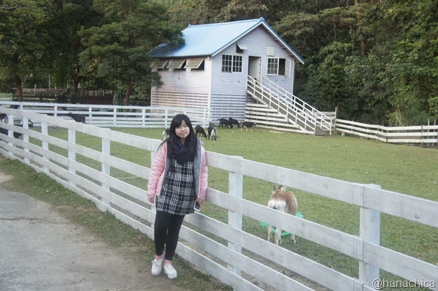 [2015-01-02%252016.29.33-1%255B4%255D.jpg]