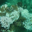 Thaïlande - Koh Tao