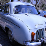 IMG_9146.jpg
