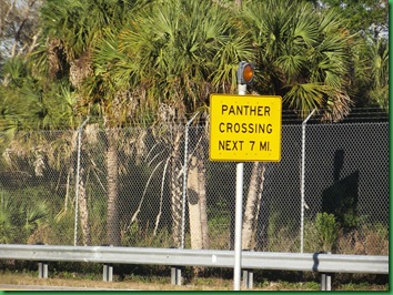 Fakahatchee,  Collier-Seminole, Pather NWR & Chokoloskee 123