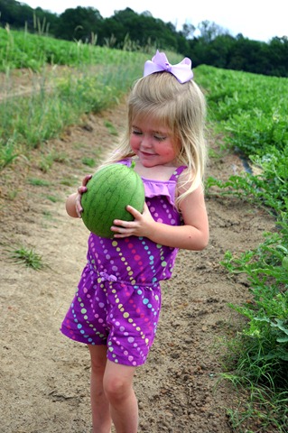 [watermelons%2520coming%2520on%2520051412%2520%252822%2529%255B3%255D.jpg]