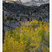 AspenGroveNorthLakeRoad20091003.jpg
