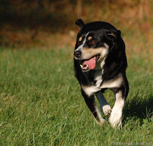 DSC_4641 DSC_4641