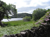 RIMG0089.JPG