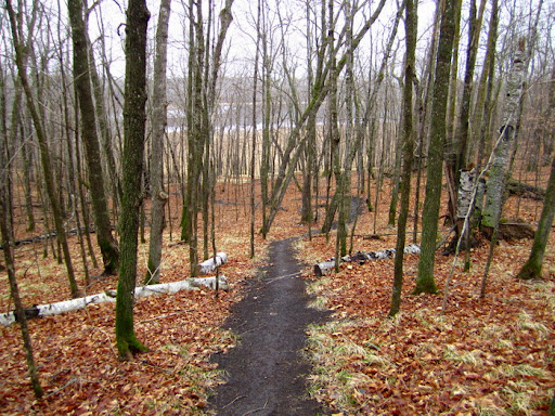 Bear creek singletrack