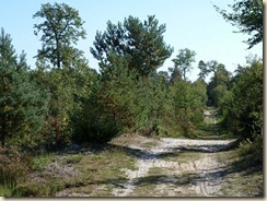 route des Écouettes route des Écouettes