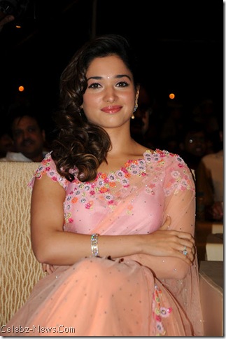 Tamanna Hot Saree Pics 19