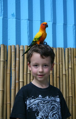 IMG_4720 IMG_4720