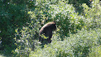 glacier_national_park_-_2009