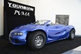 Youabian-Puma-2 Youabian-Puma-2