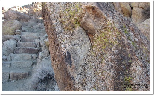 IMG_8643Intrusion InMegacrystic Granite IMG_8643Intrusion InMegacrystic Granite