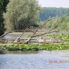 DSCN8283.JPG