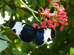 Photo by Jill Staake