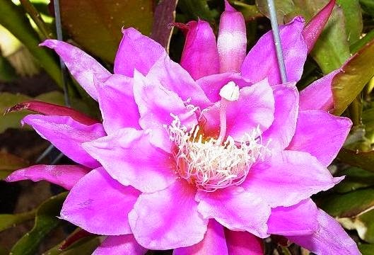 [Epi%2520Victory%2520at%2520Sea%255B3%255D.jpg]