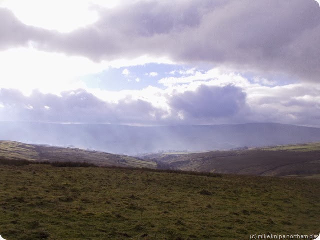 towards slit wood