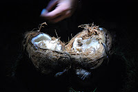 Yeah ! Ce fut dur mais la coco était bonne !