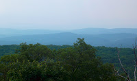 SAM_0944.JPG Photo