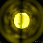Smelt-29-12-46-12.jpg