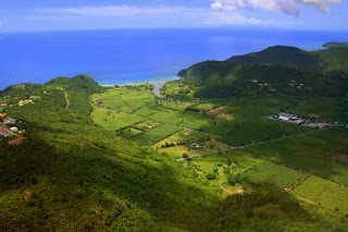 Banana plantions are a majority of St Lucia's economy.