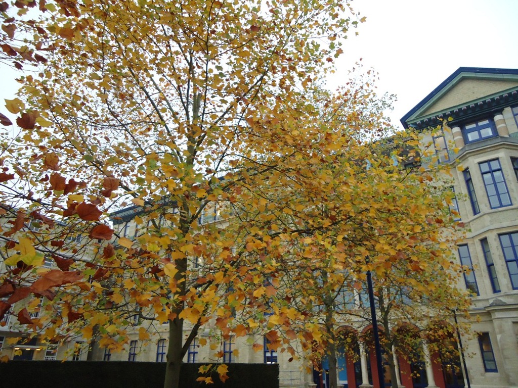 [DSC07750%255B3%255D.jpg]