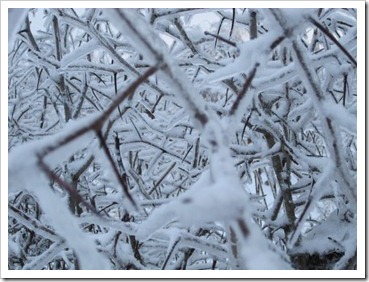 20120127_snow-ice_011 20120127_snow-ice_011