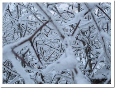 20120127_snow-ice_011