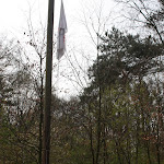 IMG_5316.JPG