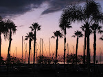 IMG_8330.JPG