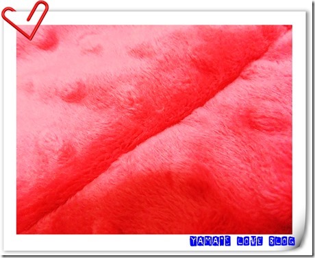 DSCF4915 DSCF4915