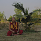 DSC_8264.jpg