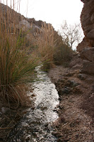 IMG_8307.JPG Photo