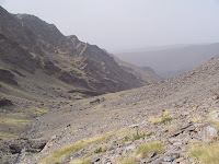 IMG_5533.JPG