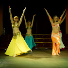 Document Name_3_258.JPG