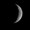 IMG_1147_cr.jpg