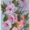 50.rosa Hibiskusblüten.jpg