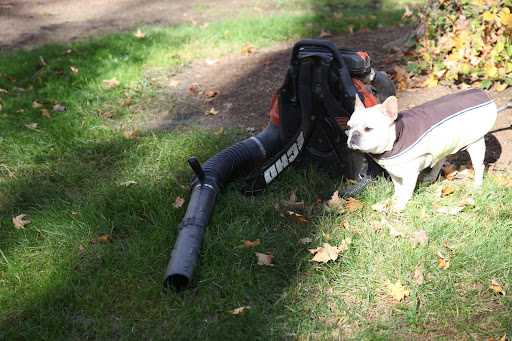 What do you say I have a go with the blower?