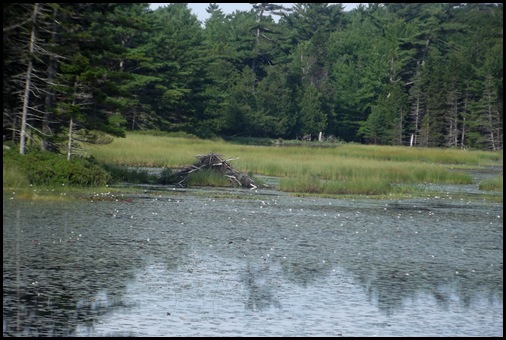 15 mile carriage road ride 042