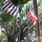 image_from_picasa