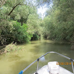 IMG_5754.JPG